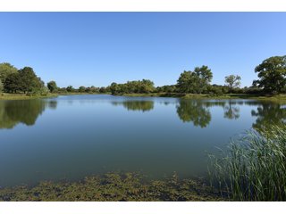 Property photo 48 - Tillable, Pasture, Recreational, Hunting and Fishing Property  